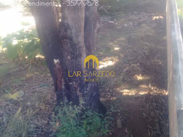 Chácara para Venda em Sarzedo - 4