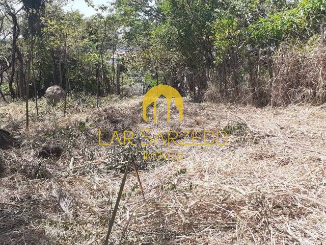 #133 - Terreno para Venda em Sarzedo - MG - 1