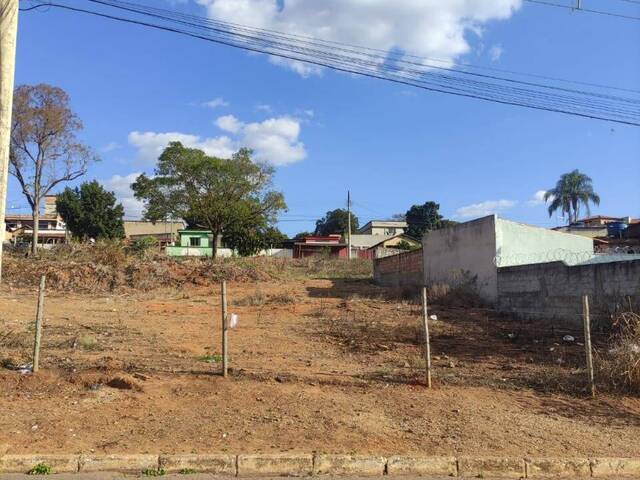 Lote para Venda em Sarzedo - 4