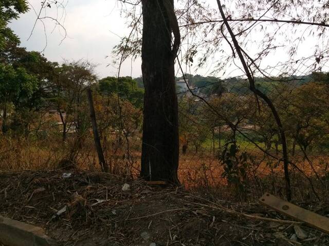 Terreno para Venda em Sarzedo - 4