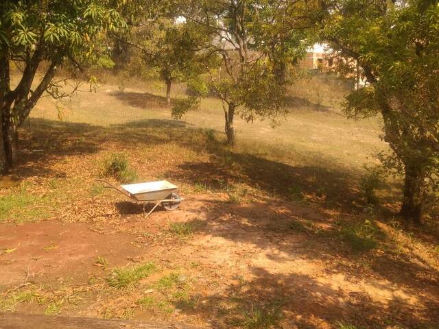 Terreno para Venda em Sarzedo - 5