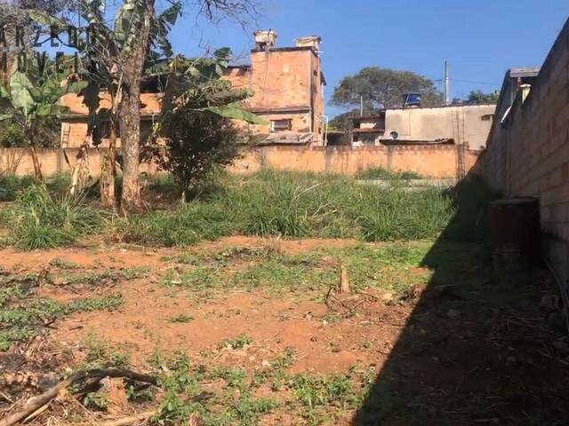 Chácara para Venda em Mário Campos - 5