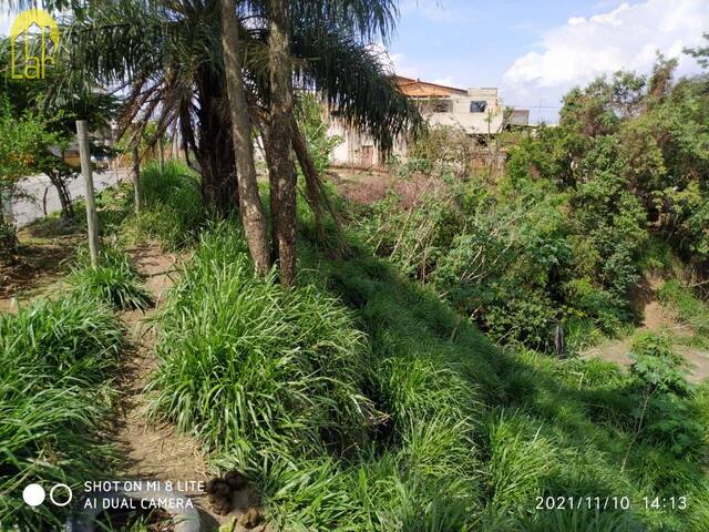 Lote para Venda em Sarzedo - 4