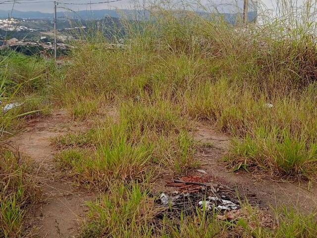 Lote para Venda em Sarzedo - 2