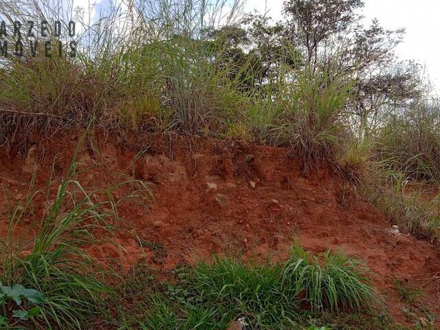 Lote para Venda em Sarzedo - 4