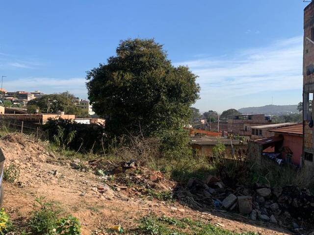 Lote para Venda em Sarzedo - 2