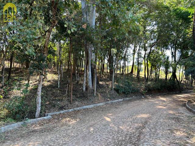 Terreno para Venda em Mário Campos - 5