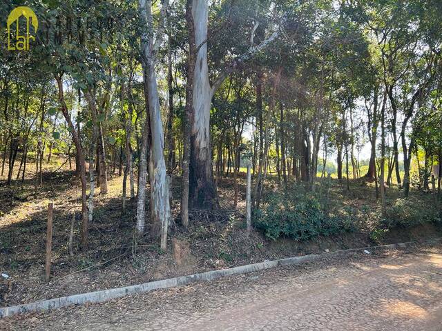 Terreno para Venda em Mário Campos - 4