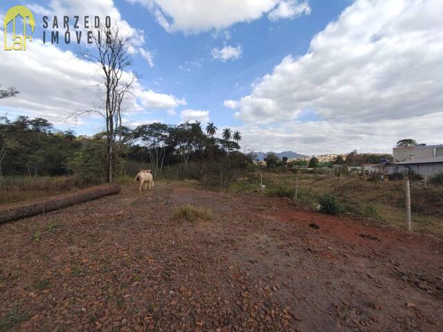 Terreno para Locação em Sarzedo - 5