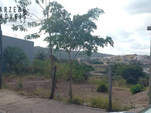 Lote para Venda em Sarzedo - 5