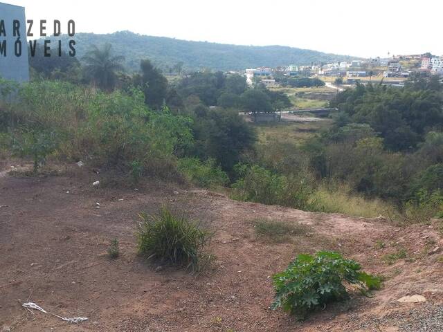 Lote para Venda em Sarzedo - 3