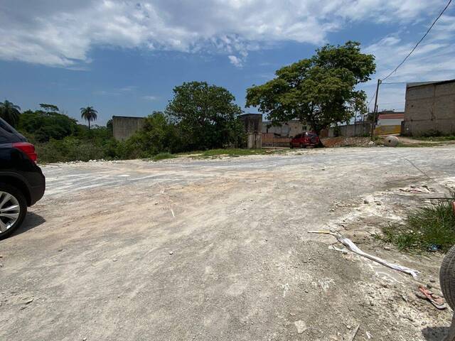 Terreno para Venda em Sarzedo - 4