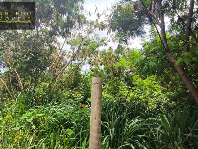 Lote para Venda em Sarzedo - 3