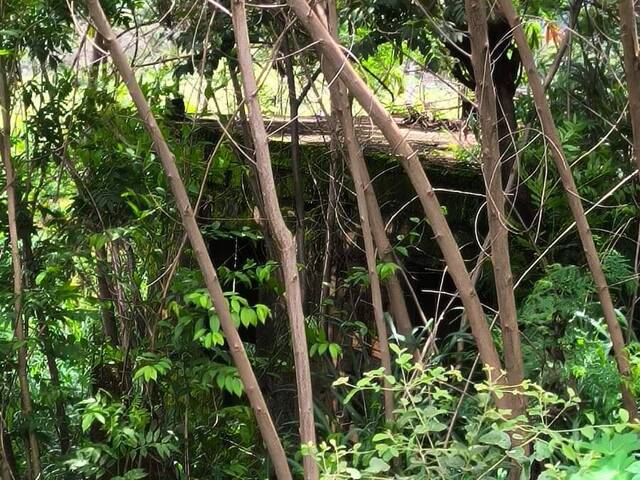 Lote para Venda em Sarzedo - 4