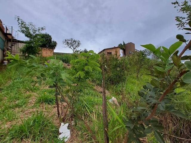 Lote para Venda em Sarzedo - 5