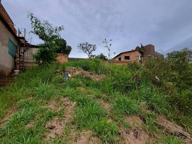 Lote para Venda em Sarzedo - 4