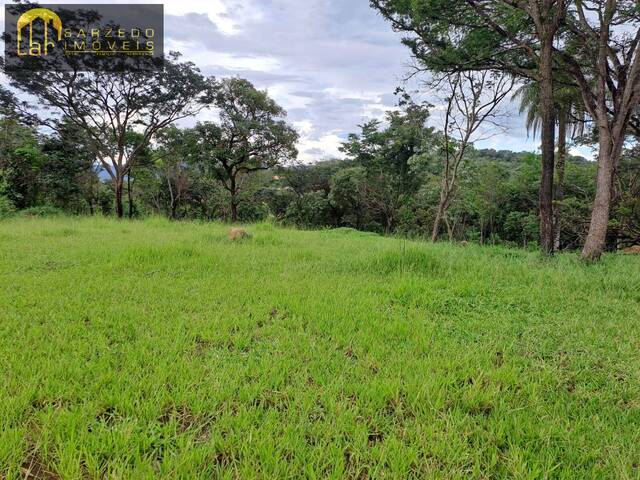 Terreno para Venda em Sarzedo - 5