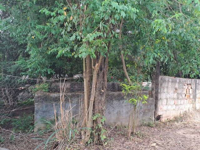 Lote para Venda em Sarzedo - 5