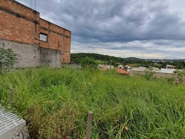 Lote para Venda em Sarzedo - 3