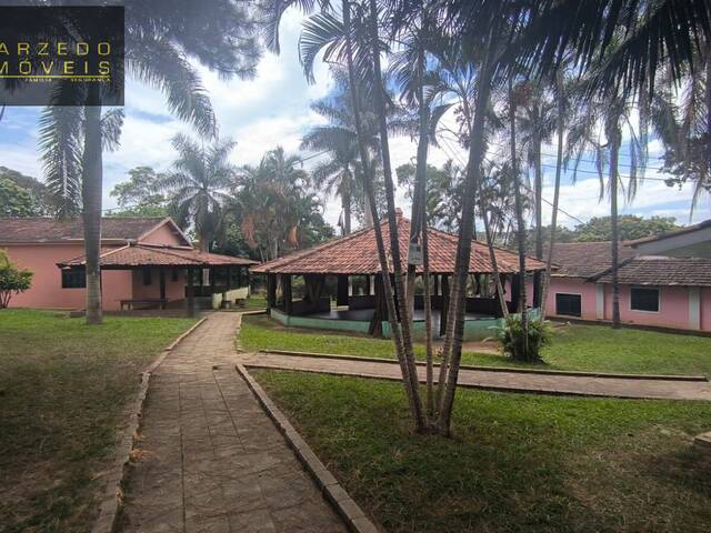 #650 - Sítio para Venda em Sarzedo - MG - 1