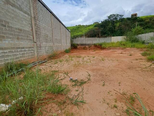 Lote para Venda em Sarzedo - 5