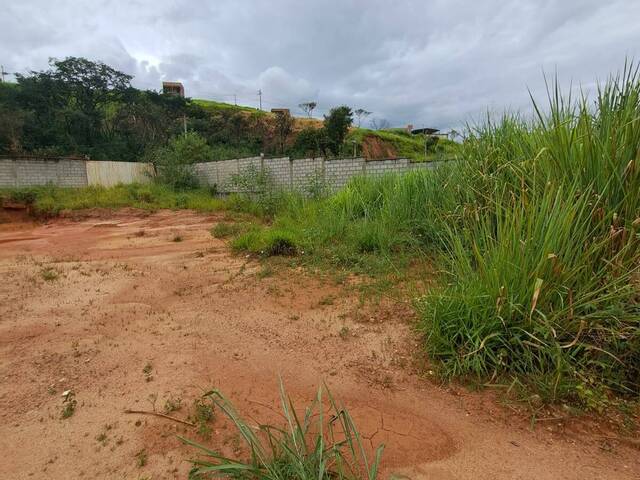 Lote para Venda em Sarzedo - 3