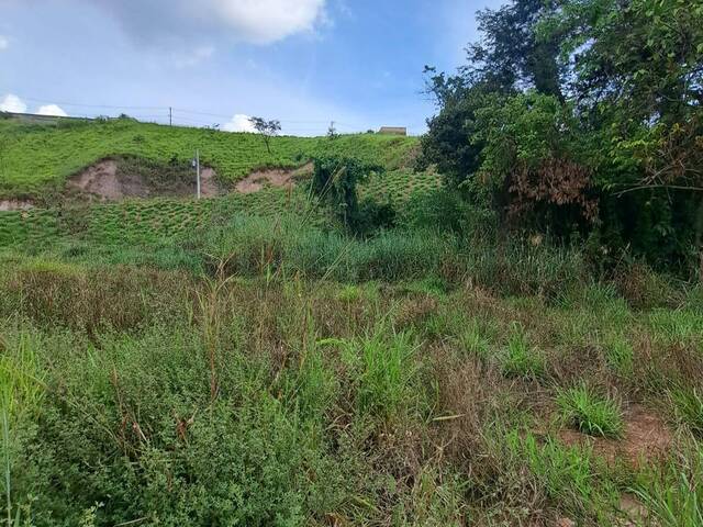 Lote para Venda em Sarzedo - 4