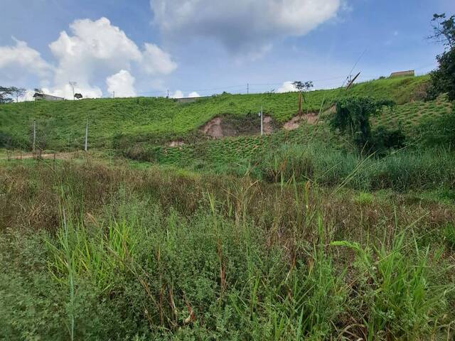 Lote para Venda em Sarzedo - 5