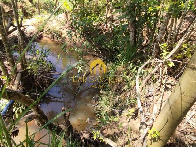 #443 - Chácara para Venda em Bonfim - MG