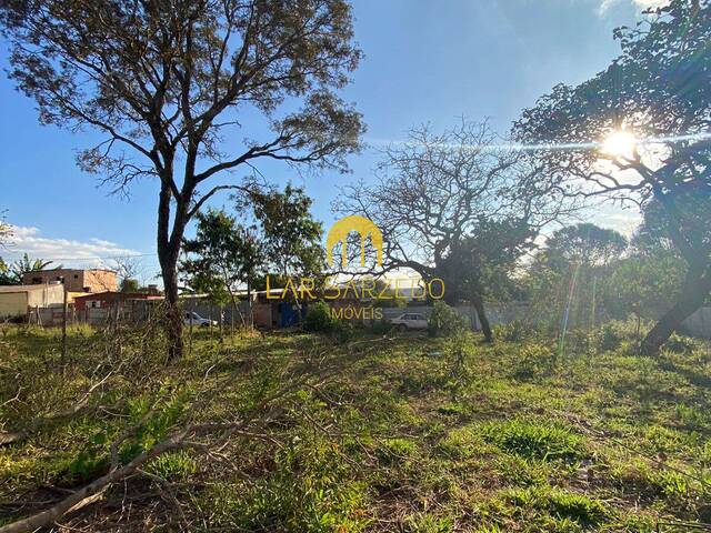 #551 - Lote para Venda em Mateus Leme - MG - 3