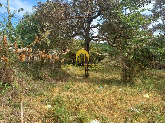 Chácara para Venda em Sarzedo - 4