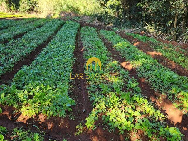 Terreno para Venda em Mário Campos - 5
