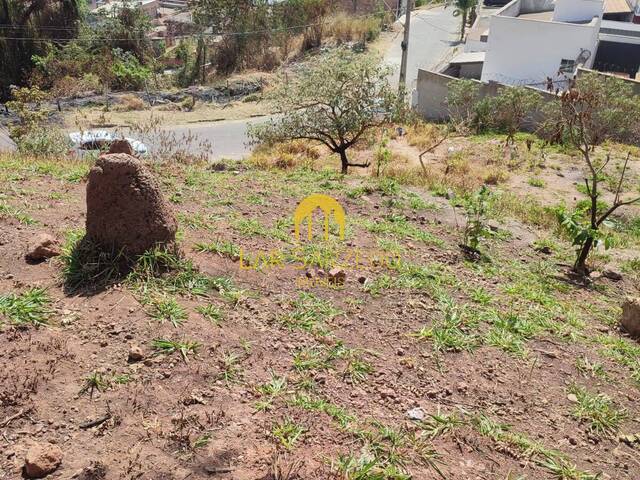 #801 - Lote para Venda em Sarzedo - MG