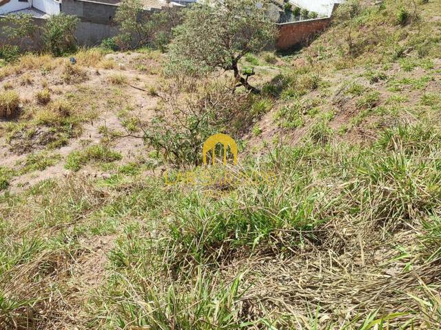 Lote para Venda em Sarzedo - 5