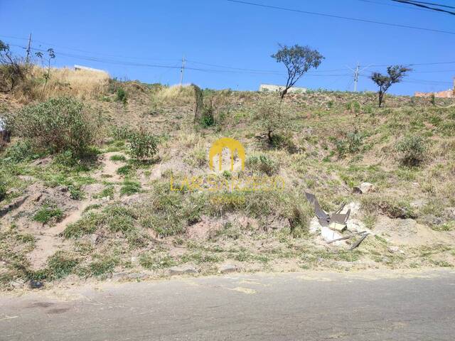 #801 - Lote para Venda em Sarzedo - MG