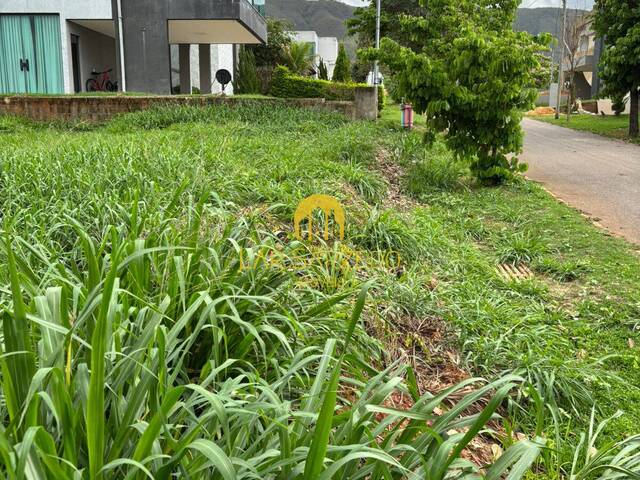Lote para Venda em Mário Campos - 5