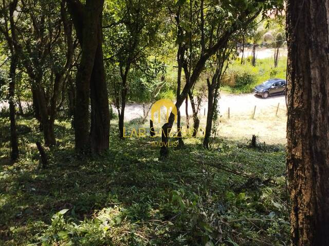 Terreno para Venda em Mário Campos - 4