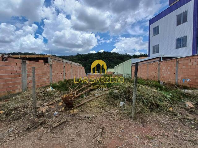 #496 - Lote para Venda em Sarzedo - MG - 1