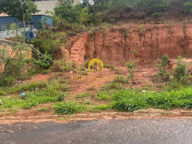 #860 - Lote para Venda em Sarzedo - MG - 3