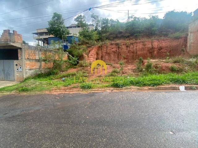 #860 - Lote para Venda em Sarzedo - MG - 2