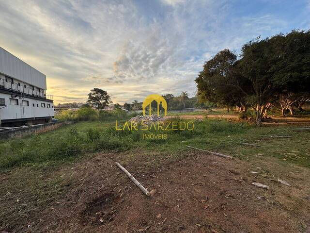 #376A - Terreno para Locação em Sarzedo - MG - 3