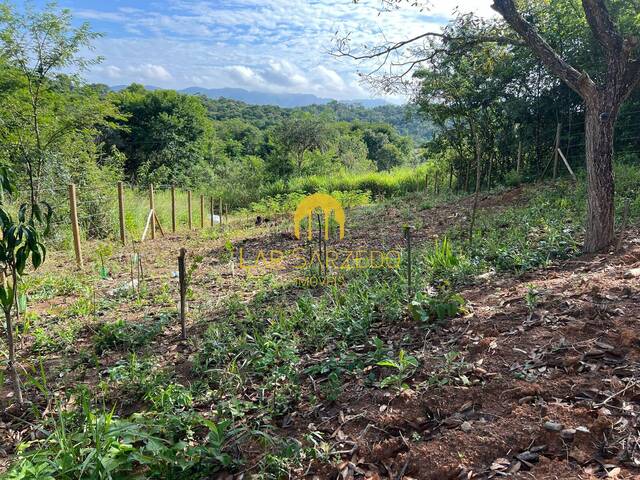 Lote para Venda em Brumadinho - 5