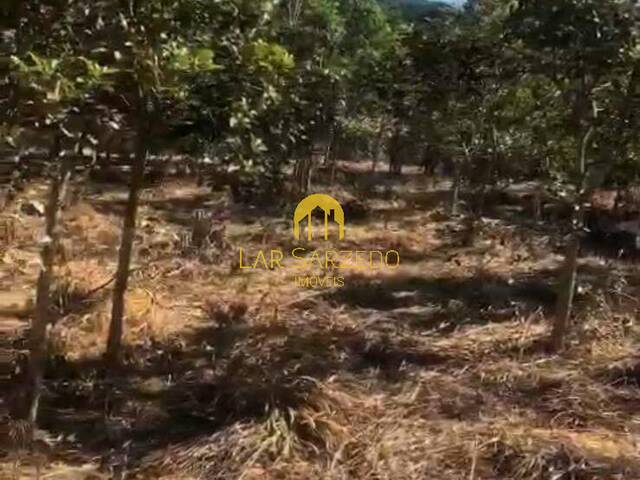 #903 - Chácara para Venda em Brumadinho - MG - 2