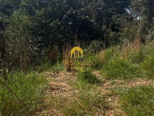 #486 - Chácara para Venda em Mário Campos - MG - 2