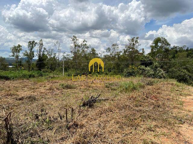#396 - Lote para Venda em Sarzedo - MG - 1