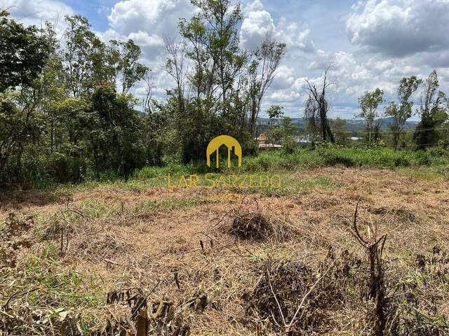 #396 - Lote para Venda em Sarzedo - MG - 3