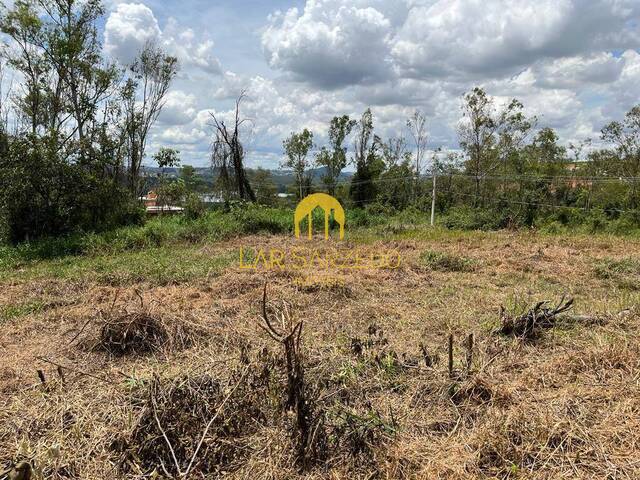#396 - Lote para Venda em Sarzedo - MG - 2