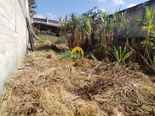 Lote para Venda em Sarzedo - 4