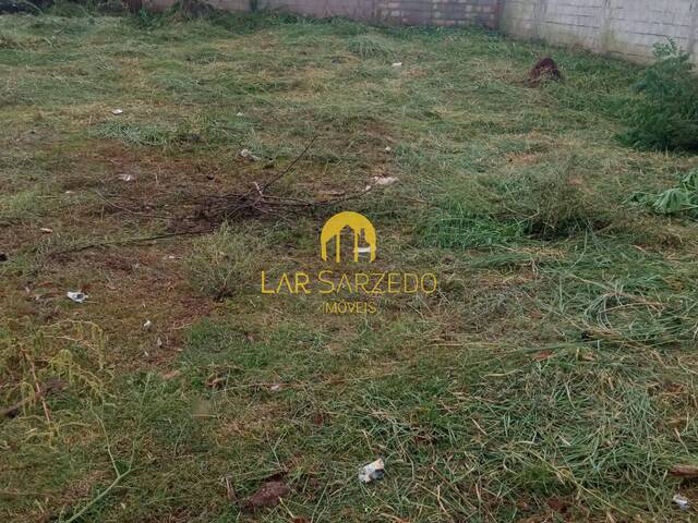 Lote para Venda em Mário Campos - 5