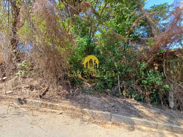 Lote para Venda em Sarzedo - 4